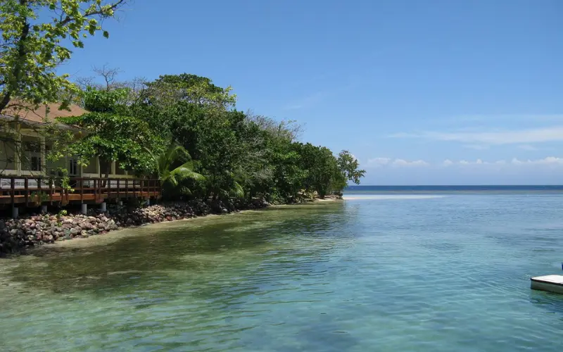 Beachfront with clear water and lush trees in Roatán, Bay Islands.