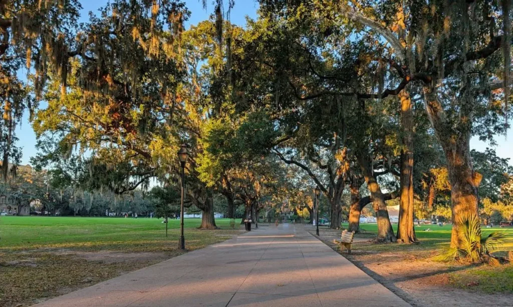 A tree-lined walkway in Forsyth Park with benches and soft sunlight.
