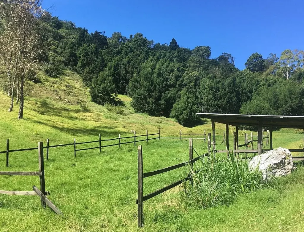 Wynne Farm Ecological Reserve