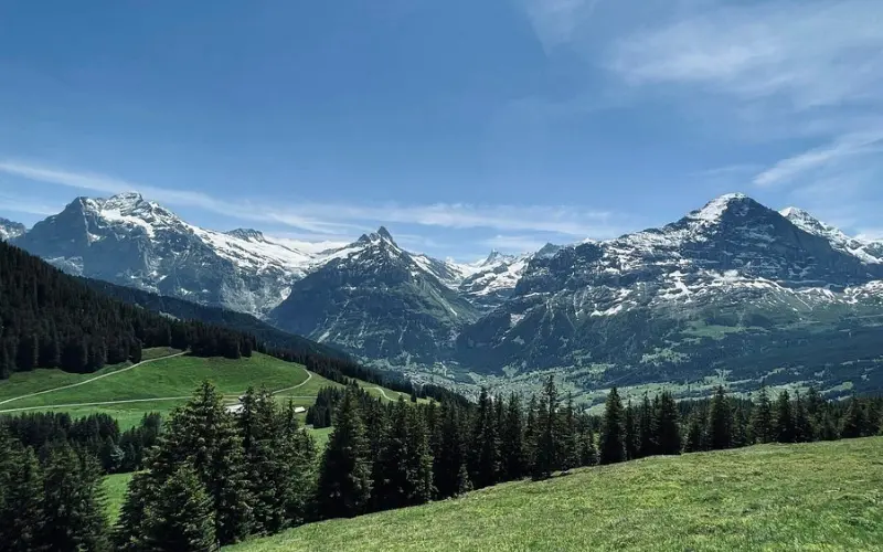 Snowy peaks tower over green meadows and forests at Bussalp.
