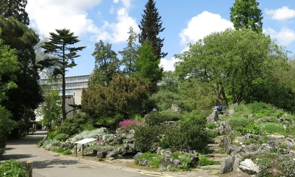 Ghent University Botanical Garden with trees, plants, and flowers under a blue sky.