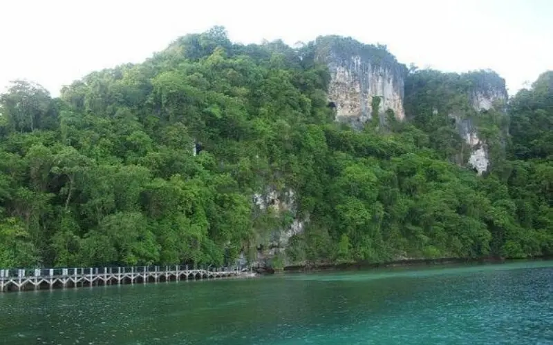 Green cliffs and entrance to the historic Tabon Caves.