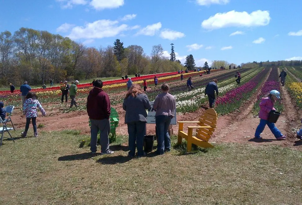 Points East Coastal Drive