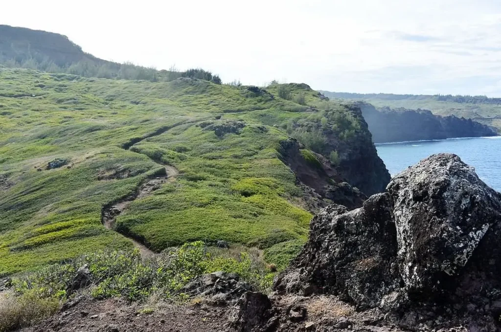 Ohai Loop Trail and Overlook