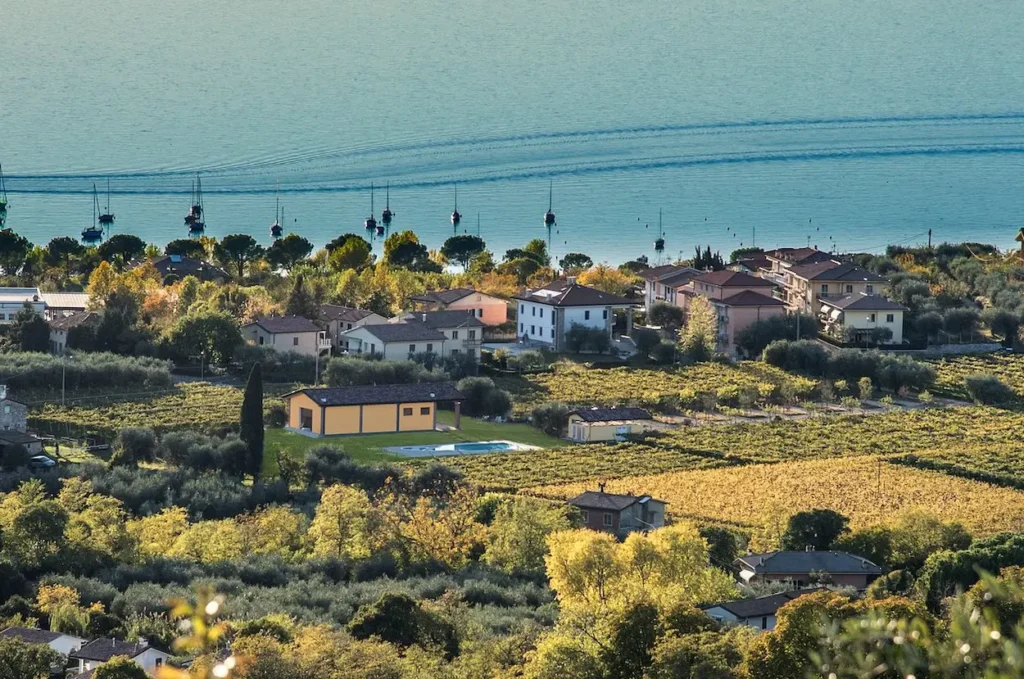 houses with grapes farm at Bardolino