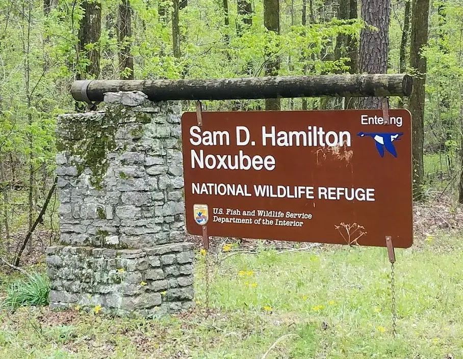 Noxubee National Wildlife Refuge