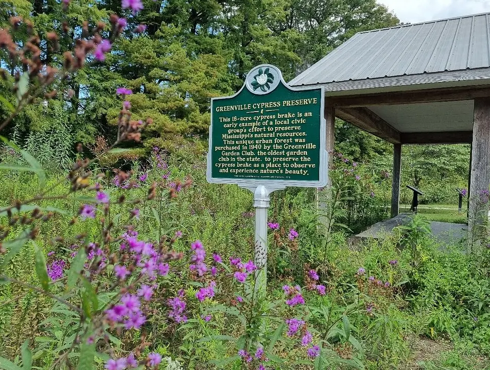 Greenville Cypress Preserve