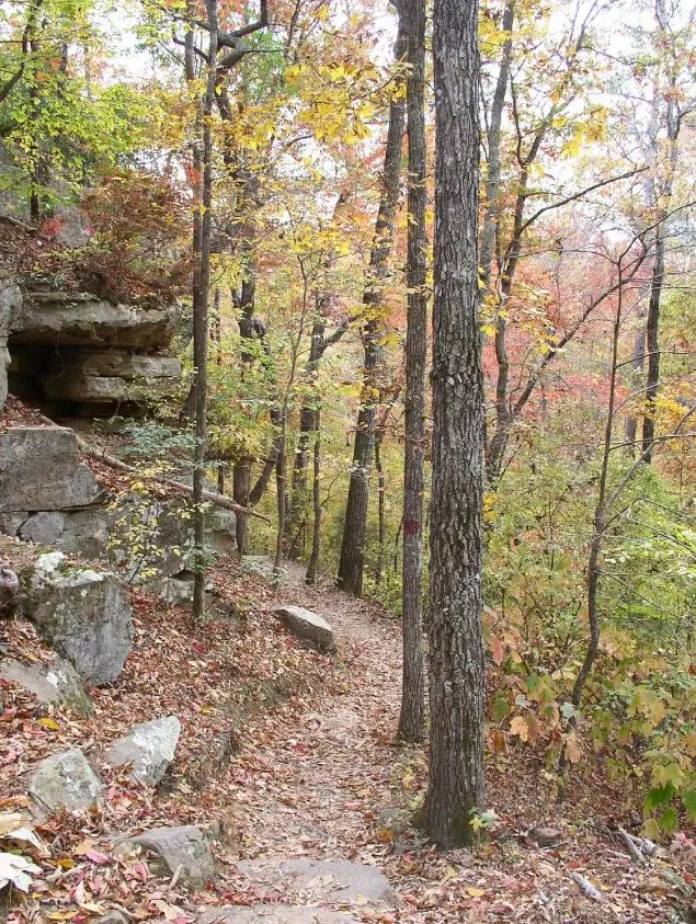Tishomingo State Park Nature Trail