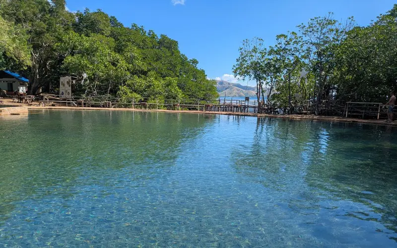 Natural hot spring pool surrounded by trees at Maquinit Hot Springs.