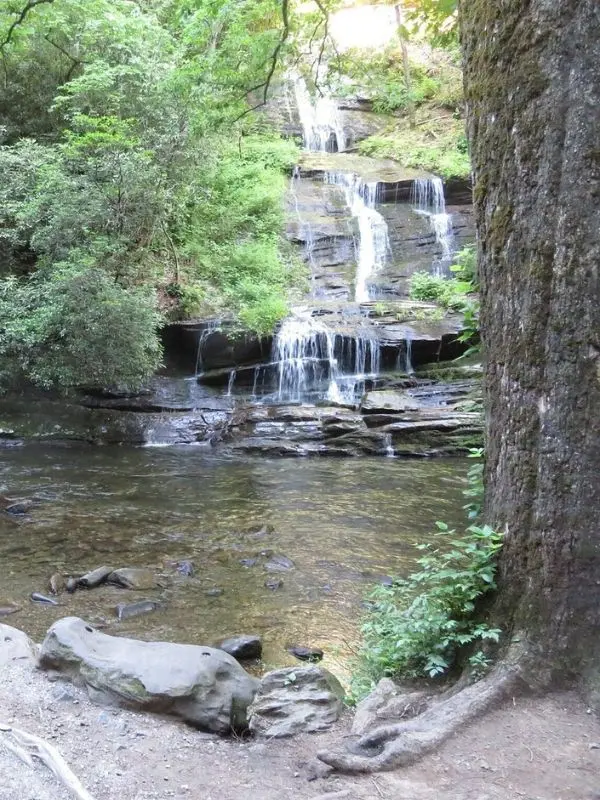 Gentle waterfall flowing into a shallow pool at Tom Branch Falls.