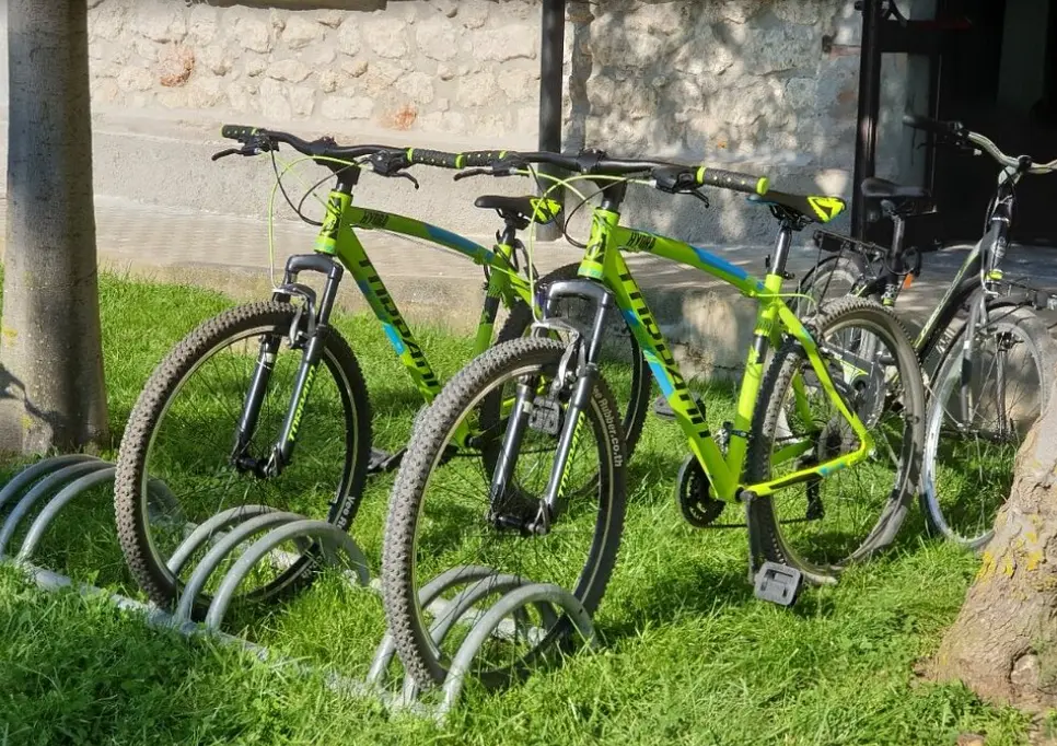 Nature Park of Molentargius