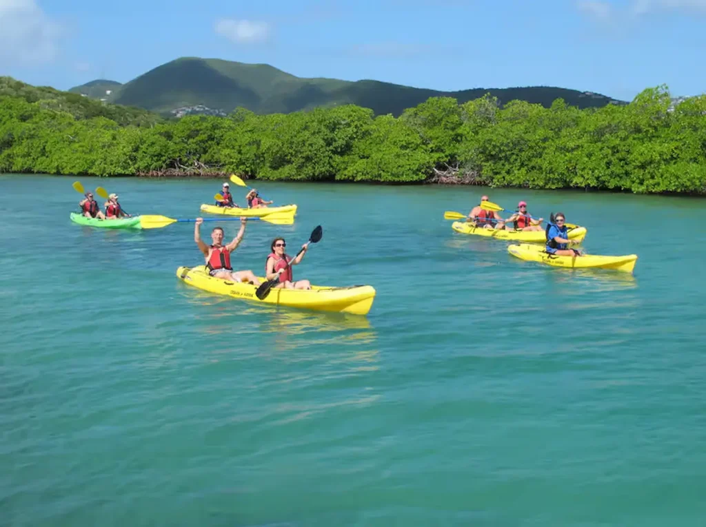 St. Thomas Mangrove Kayak, Hike, & Snorkel tour