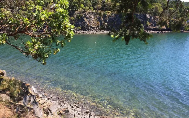 Clear blue shoreline and rocky coast at Orcas Island.