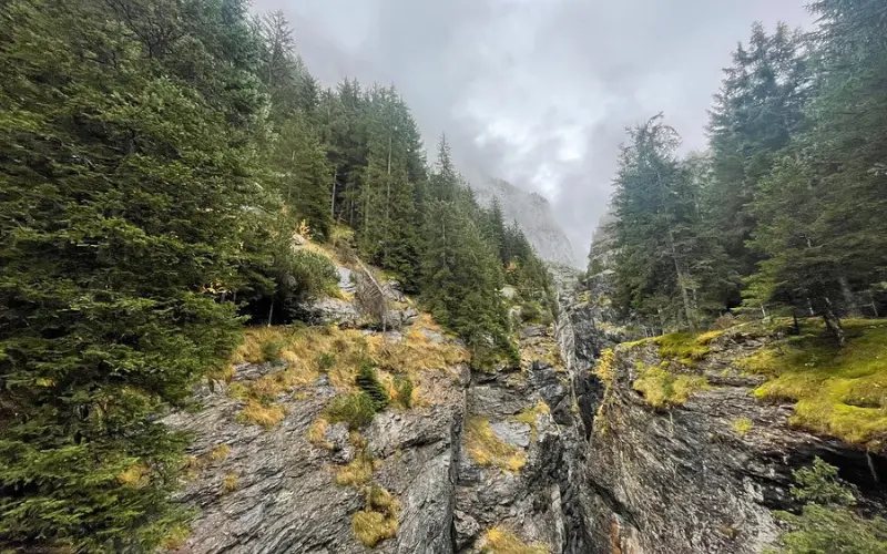 Pine trees and cliffs frame Grindelwald Glacier Canyon on a cloudy day.