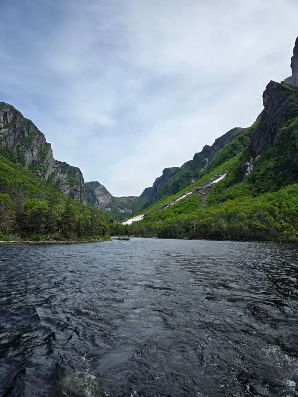 River flowing through steep green cliffs in Gros Morne National Park.
