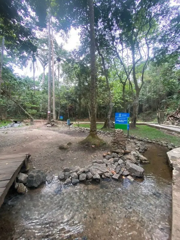 A small stream flows through the forest at Ikogosi Warm Springs.