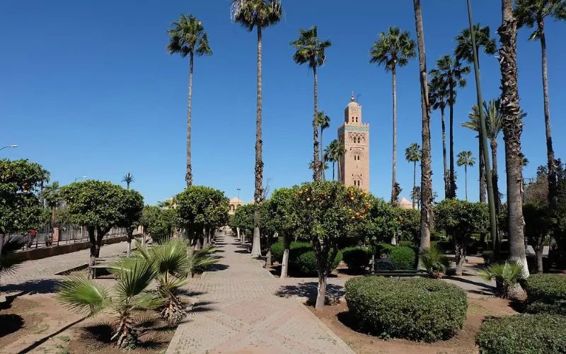 Path lined with palm trees leading to the Koutoubia Mosque in Marrakech.
