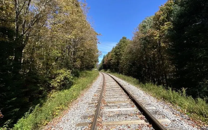 Railroad tracks running through trees on the Adirondack Scenic Railroad.