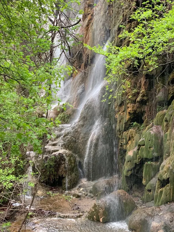 Cascading water over mossy rocks at Gorman Falls.
