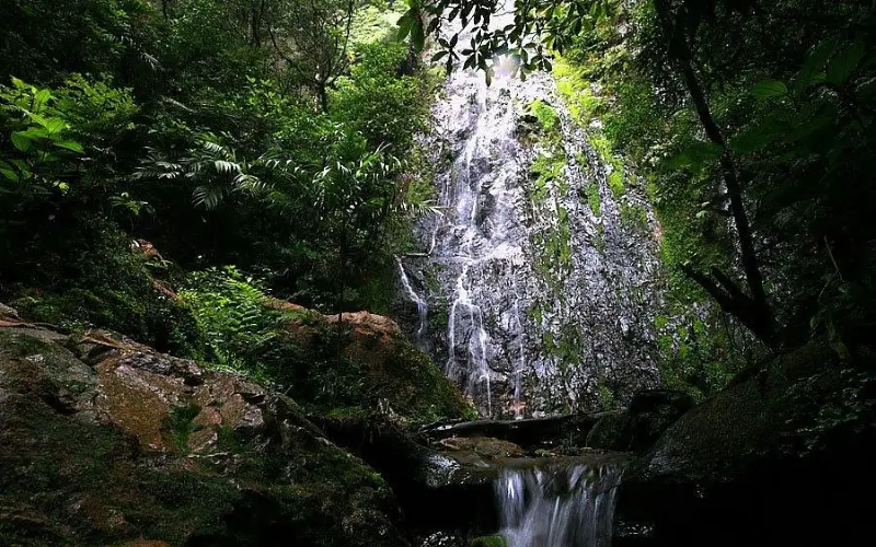 Waterfall surrounded by dense greenery in La Tigra National Park.