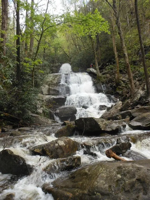 Waterfall cascading over rocks surrounded by forest at Laurel Falls.