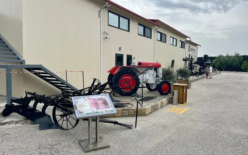Old tractors and farming equipment on display at The Olive Groves.