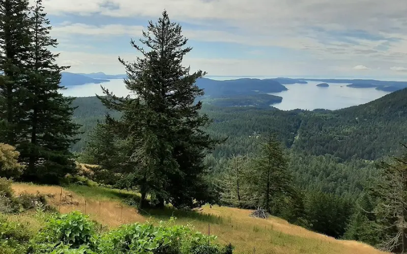 View of forested hills and surrounding islands from Mount Constitution.