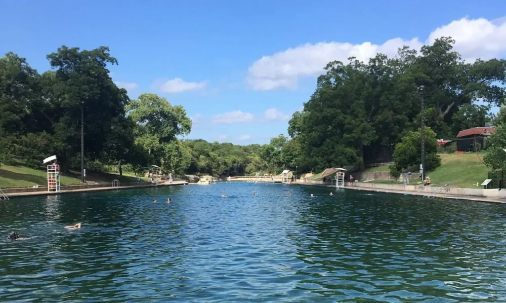 People swimming in the natural spring-fed Barton Springs Pool surrounded by trees.