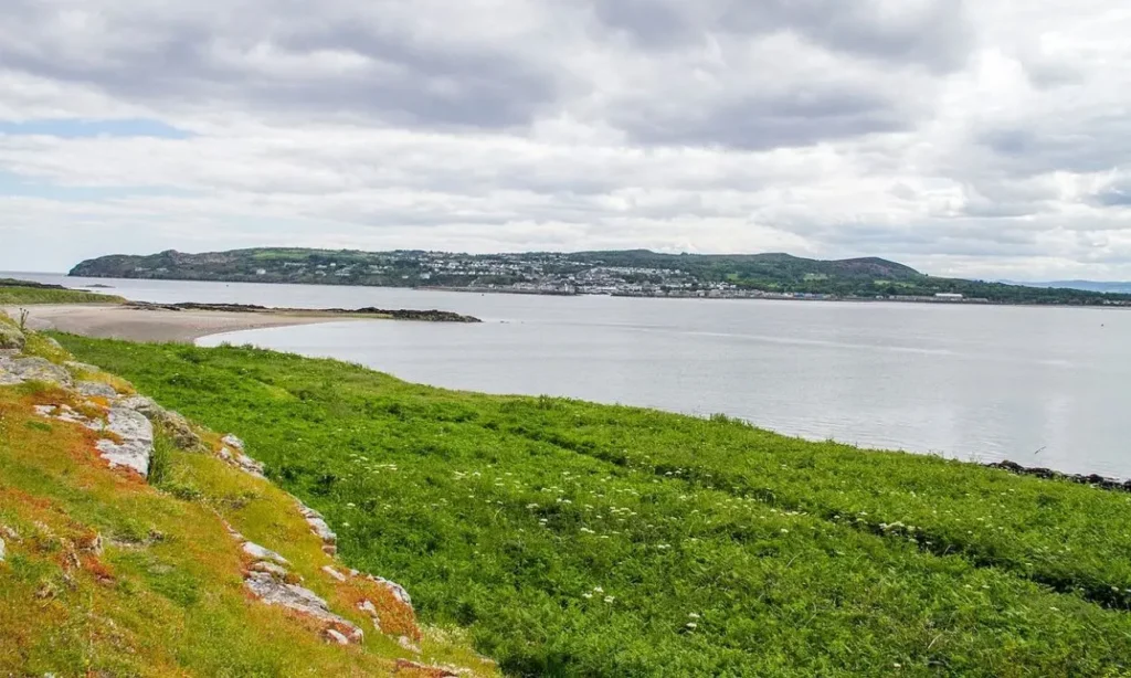 Ireland’s Eye shows a grassy coastline with a calm bay and a distant town under cloudy skies.