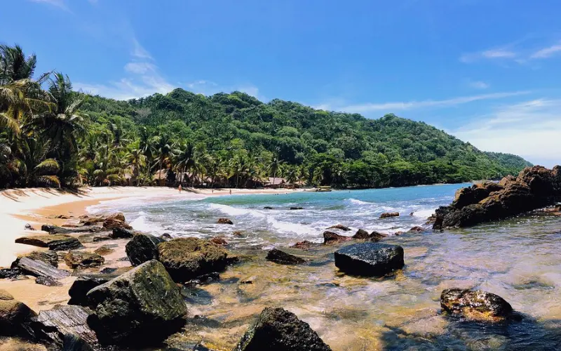 Sandy beach and palm trees at Parque Nacional Jeanette Kawas.