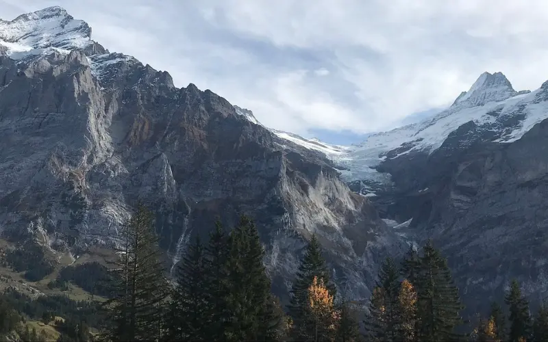 Snowy peaks rise above Schreckfeld with trees in the foreground.