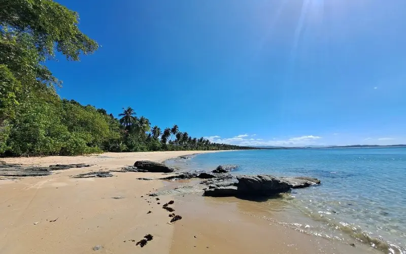 Wide stretch of sand and palm trees along Long Beach in San Vicente.