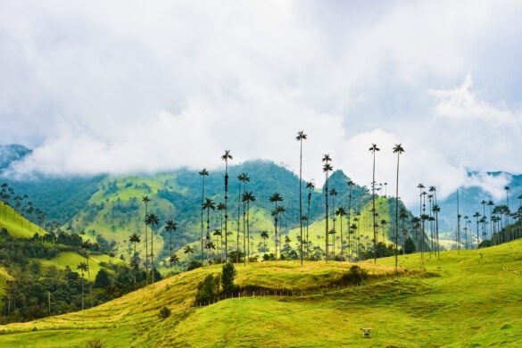 A stunning landscape of Quindio, Colombia.