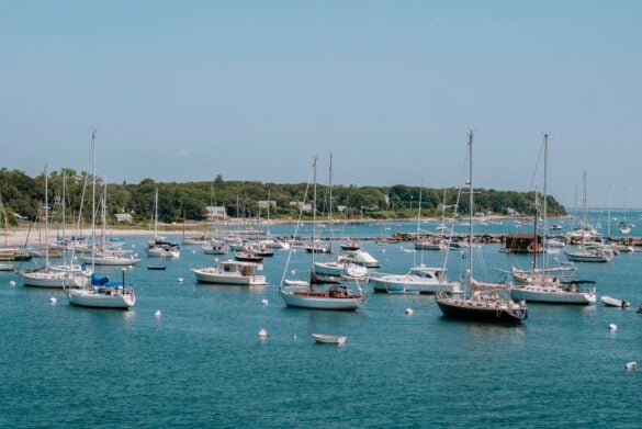 Amazing Things to Do in Martha’s Vineyard