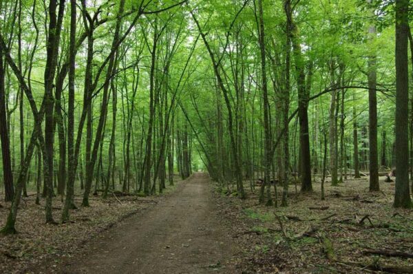 12 Most Beautiful Places in Belarus to Visit (Not What You Think)