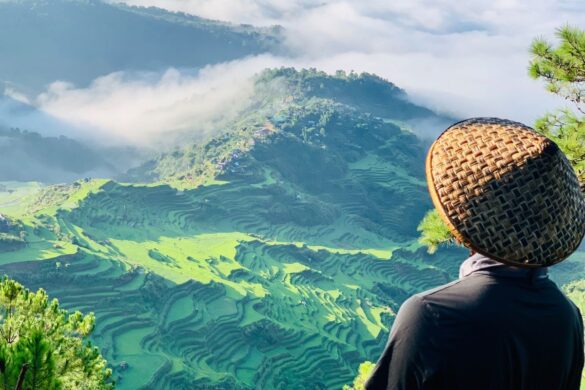 I Ranked the 12 Best Airlines Flying to the Philippines in 2026