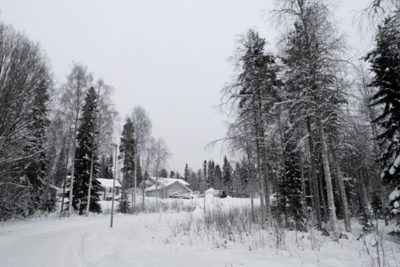 Rovaniemi, Finland Bucket List: 12 Fun Activities & Things to Do