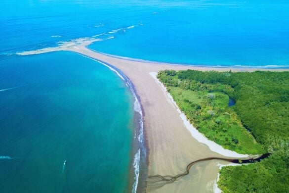 here are the best things to do in Uvita, Costa Rica