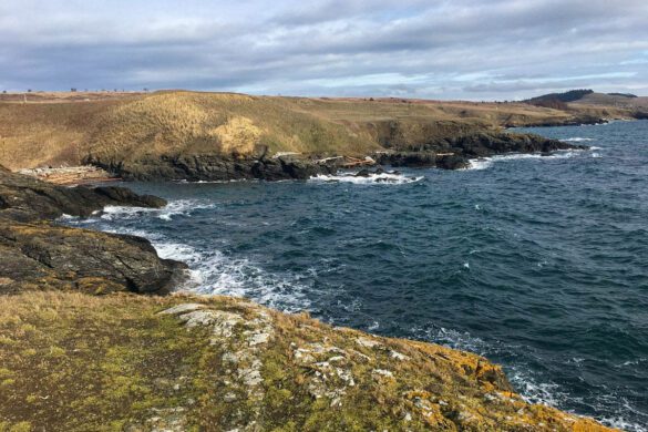 12 Awesome Things to Do in the San Juan Islands for an Epic Trip