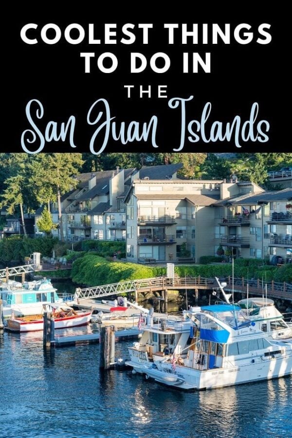 12 Awesome Things to Do in the San Juan Islands for an Epic Trip