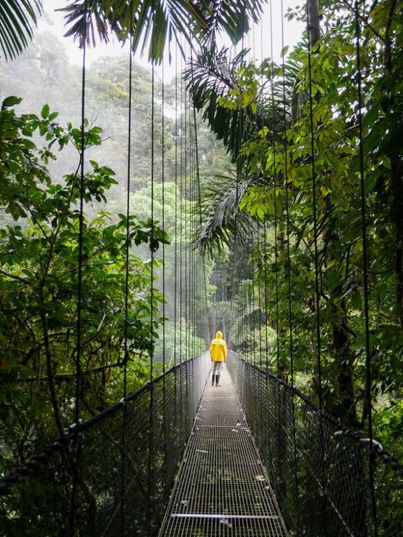 10 Best Airlines to Fly to Costa Rica (Updated 2023) Global Viewpoint