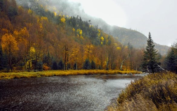 Fun Things to Do in Lake Placid