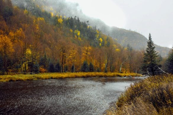 15 Unique Lake Placid Experiences for an Unforgettable Trip