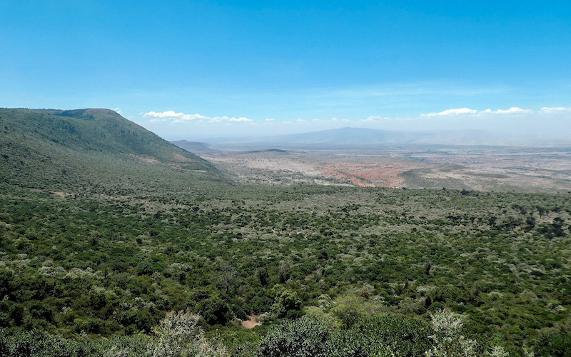 The Great Rift Valley is a geological marvel home to dramatic landscapes, diverse wildlife, and ancient human history.