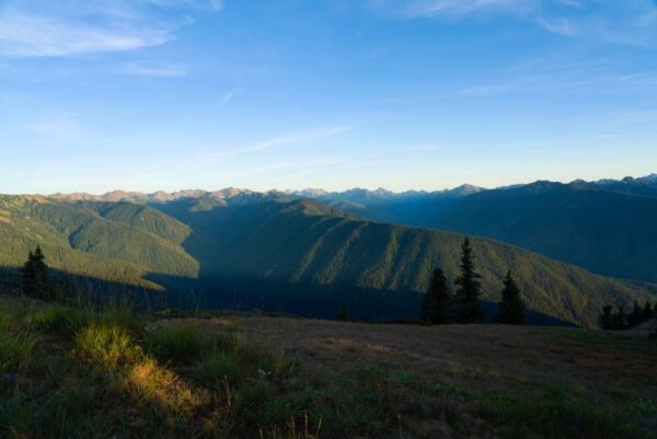 The 12 Prettiest Spots in Olympic National Park (Rainforest to Rugged ...