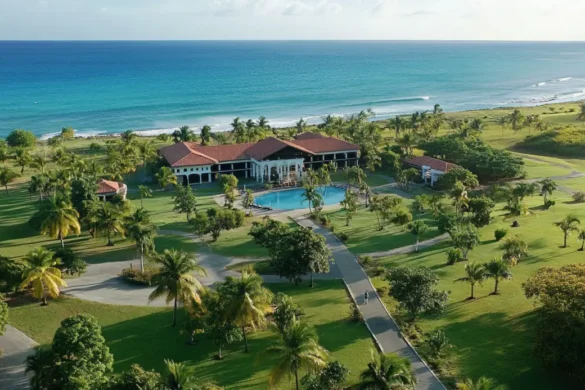 January 2026 Bucket List: 9 Places in the US to Start the New Year