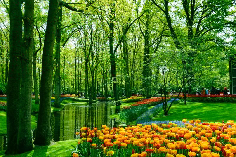 Keukenhof Gardens is a wonderland of brightly colored flowers of every variety surrounded by beautiful serene waters