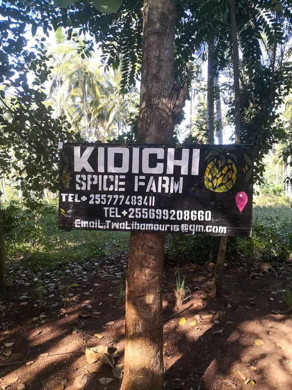 Kidichi Spice Farm near Stone Town is a sensory delight, immersing you in Zanzibar's rich spice history through fragrant fields and tactile experiences.