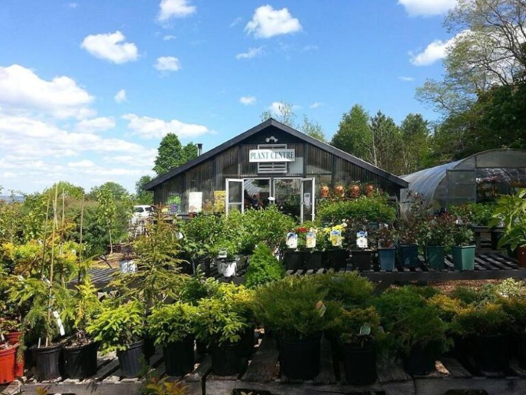 Springfield Nb 11 Breathtaking Places in New Brunswick You Can’t Miss