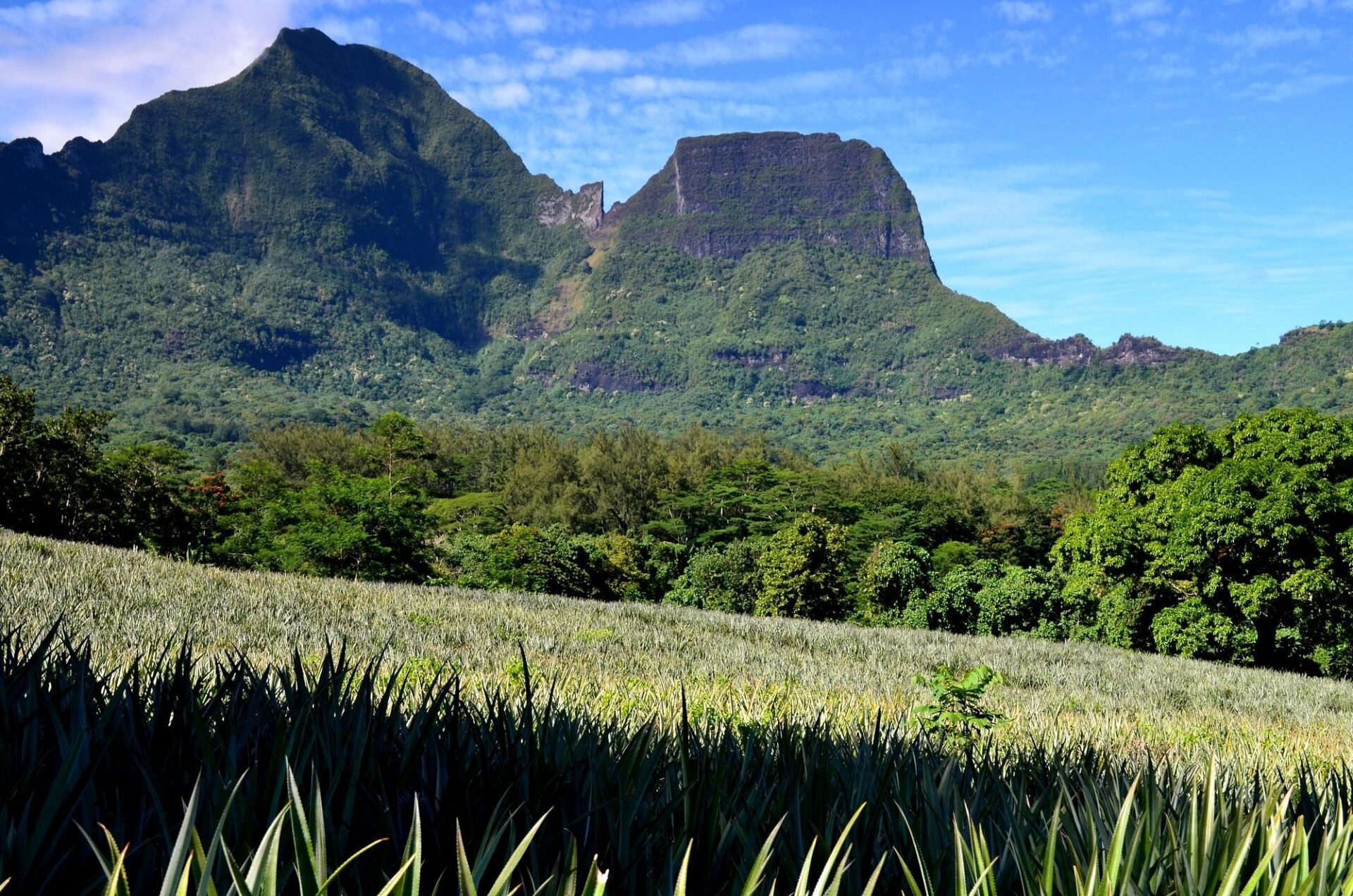 12 Best Things to Do in Moorea (French Polynesia)